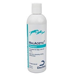 Malacetic Shampoo for Dogs/Cats