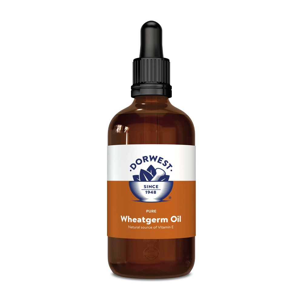 Dorwest Wheatgerm Oil Liquid for Homeopathic Supplies