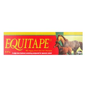 Equitape Wormer Paste for Horses