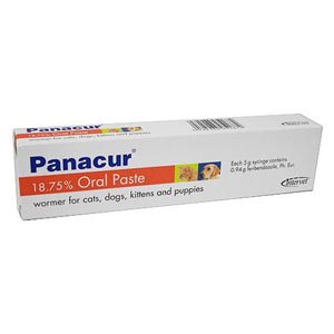 Panacur Worming Paste for Dogs