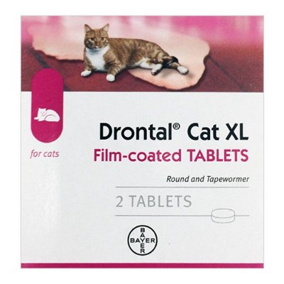 Drontal Large Cats 13lbs
