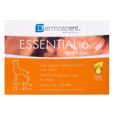 Essential 6 22-45 lbs (Medium)