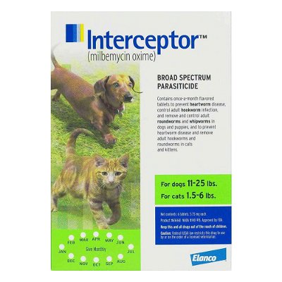 Interceptor For Small Dogs 11-25 lbs (Green)