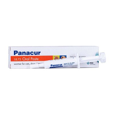 Panacur Worming Paste for Dogs/Cats