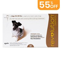 Revolution Small Dogs 10.1 - 20lbs (Brown)