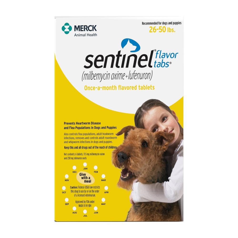 Sentinel dogs 26-50 lbs (Yellow)