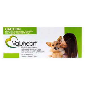 Valuheart For Medium Dogs 23-44 lbs Green