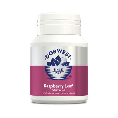 Dorwest Raspberry Leaf Tablets for Dogs and Cats