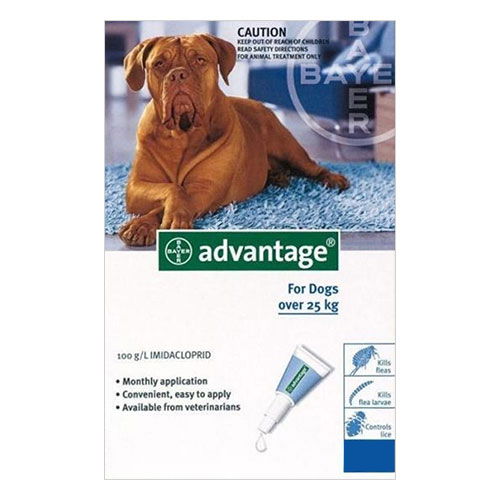 Advantage Extra Large Dogs over 55 lbs (Blue)