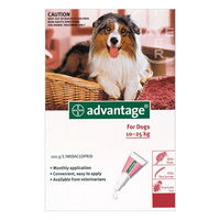 Advantage Large Dogs 21-55lbs (Red)