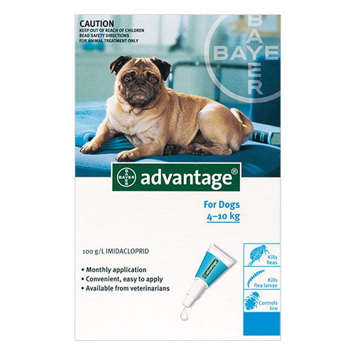 Advantage Medium Dogs 11-20lbs (Aqua)