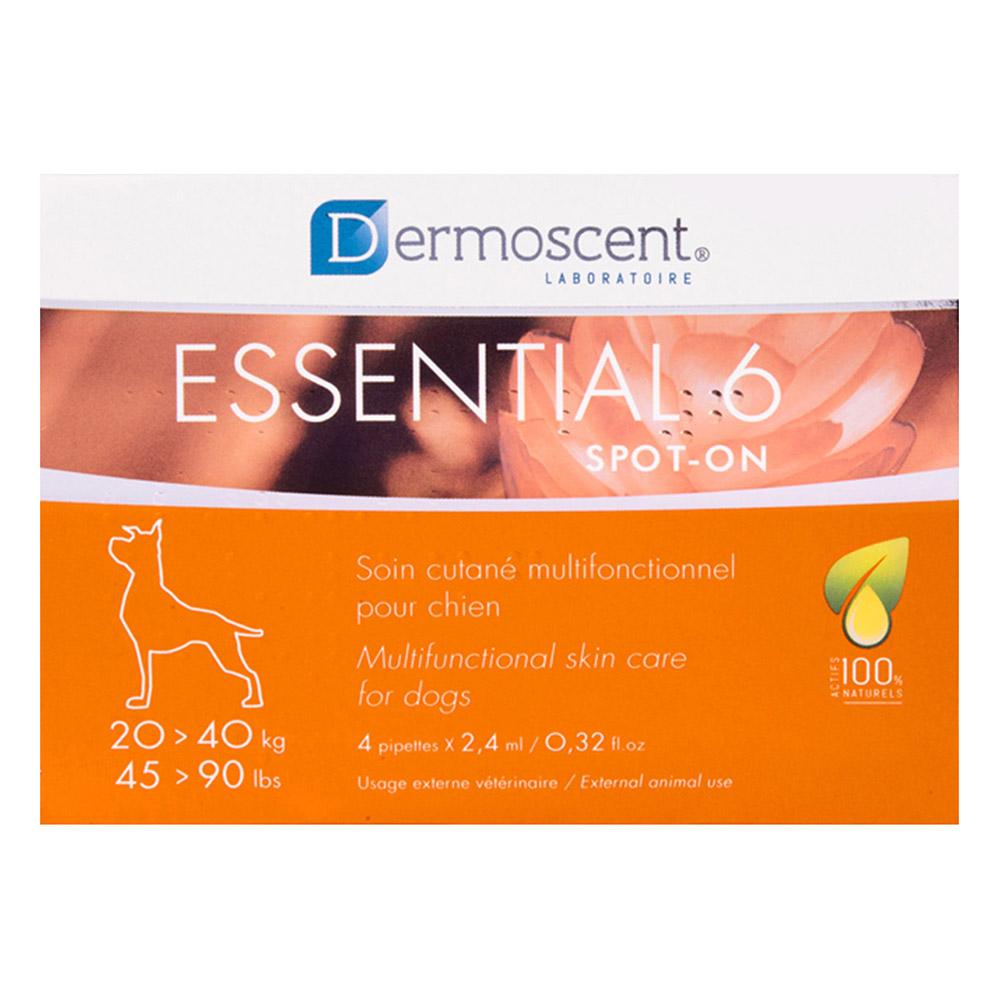 Essential 6 45-90 lbs (Large)