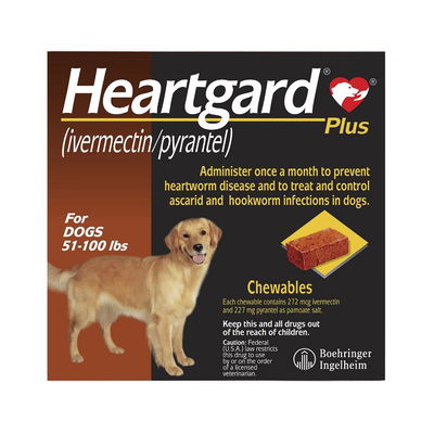 Heartgard Plus Chewables for Large Dog 51-100lbs (Brown)