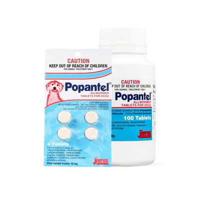 Popantel Allwormer for Dogs 10 Kg (22 lbs)