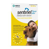 Sentinel dogs 26-50 lbs (Yellow)