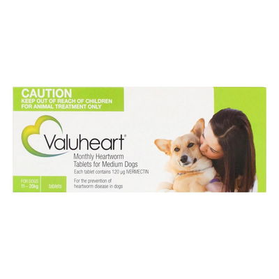 Valuheart For Medium Dogs 23-44 lbs Green