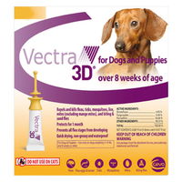 Vectra 3D for Dogs