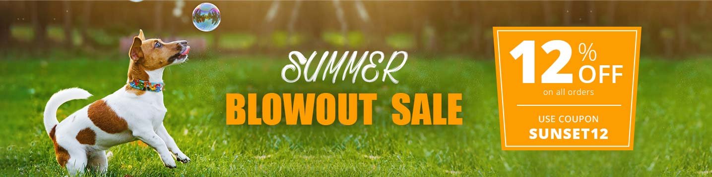 Summer Blowout Sale